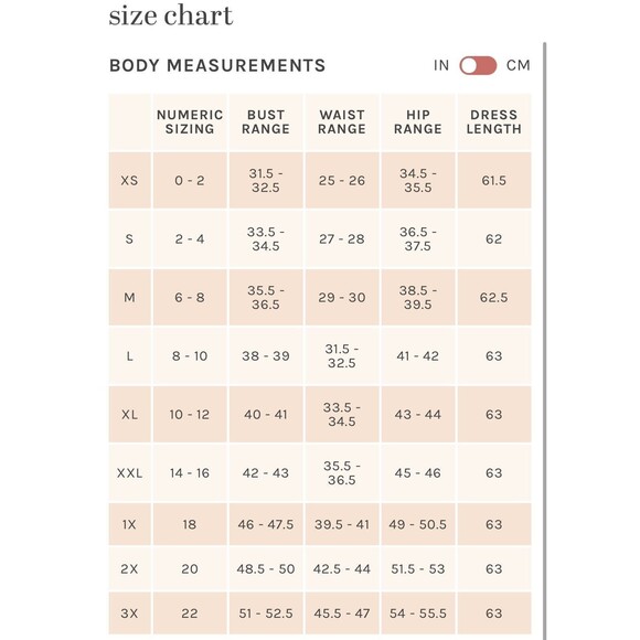 Womens Size S Birdy Grey Kira Chiffon Taupe Bridesmaid Dress NWT - Picture 10 of 10